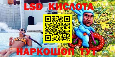 спиды Аргун