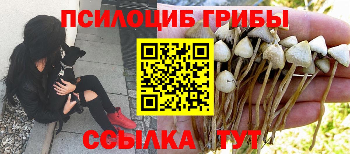 Псилоцибиновые грибы MAGIC MUSHROOMS  Аргун  Псилоцибиновые грибы прущие грибы 