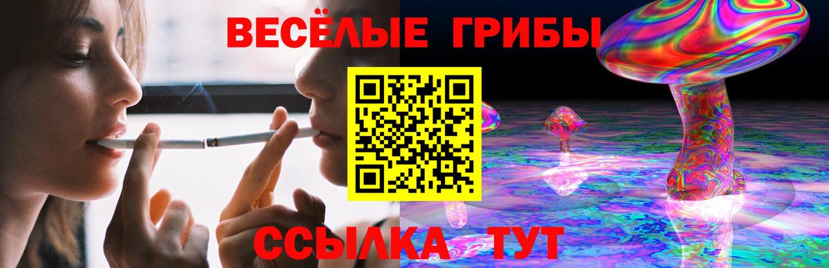 Псилоцибиновые грибы прущие грибы  Вход с VPN  Псилоцибиновые грибы Psilocybe  Аргун 